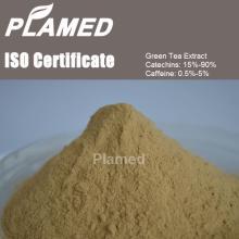 Buy natural green tea extract powder,raw material natural green tea extract