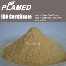 Buy white tea extract powder,raw material white tea extract