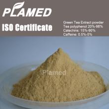 Buy instant green tea extract powder,raw material instant green tea extract