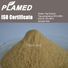 Super sweet tea extract powder supplier,100% pure sweet tea extract powder