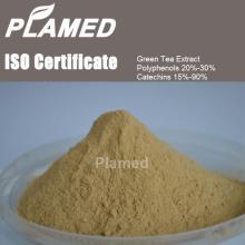 High quality  instant   green   tea   extract   powd er supplement,top quality  instant   green   tea   extract   powd e