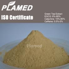Buy  gynostemma   tea  extract powder,raw material  gynostemma   tea  extract