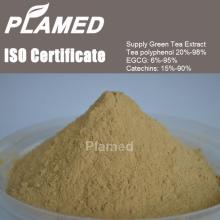 Buy extract green tea powder,raw material extract green tea