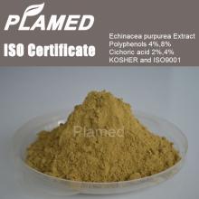 Natural echinacea extract 4%,echinacea extract powder