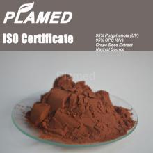 Water soluble grape seed extract 95%,grape seed extract powder 95%