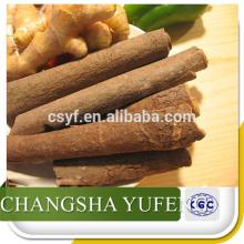 High quality Cinnamon Bark Extract/Cinnamon Bark Extract powder/ceylon cinnamon powder