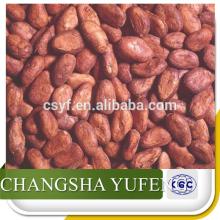 Manufacturer sales cocoa seeds extract,China supply