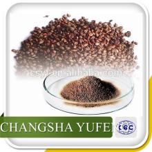 Hot Sell Theobromine10-20% Cocoa Seed Extract Powder/Cocoa Seed Powder/Cocoa Seed Extract