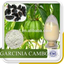 Hot Sale Natural Garcinia Cambogia Extract Garcinia Combogia 50%, 60%, 70% HCA