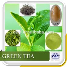 Pure Natural Green Tea Extract /Tea Polyphenol, Catechin