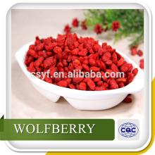 Organic goji berry extract Wolfberry Extract