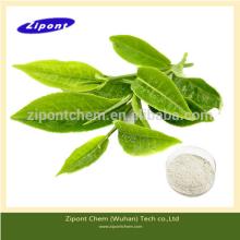 Epigallocatechin gallate (EGCG) 40% Polyphenols 80% Green tea extract
