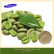 Pure Green Coffee Bean Extract 50% Chlorogenic Acid