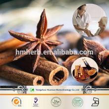 high quality herbal cinnamon powder Organic Cortex Cinnamon Extract