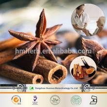 High quality organic natural cinnamon extract,Cinnamon Extract Polyphenols, Flavone