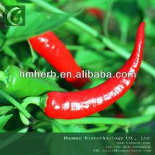 Hot pepper Extract black pepper extract powder