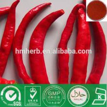 Best piperine capsicine/black pepper extract powder