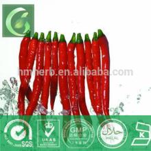 Hot/black pepper Extract