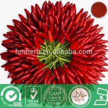 Natural Black Pepper Extract 10-99%
