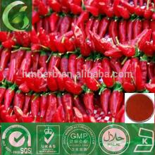 Natural herb extract Black pepper extract