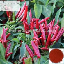 Black Pepper Extract / Piperine 50%-98% CAS:94-62-2