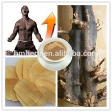 Natural Sex Enhancing Powder Extraction Tongkat Ali Tea Drink