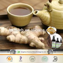 china supplier  ginger   extract  5%  Ginger ol  powder  natural  ginger  tea