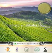 natural plant extract powder organic Green Tea P.E.EGCG