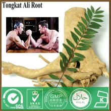  Natural  Sex Ability Increasing  Extract  Powder  Tongkat   Ali  Tea