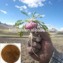 100% Natural Sexual Enhancing Maca Root Extract Powder Organic Maca Tea