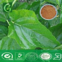Professional Supplier 1-DNJ Extract Powder Mulberry Tea from The Leaves of Mulberry