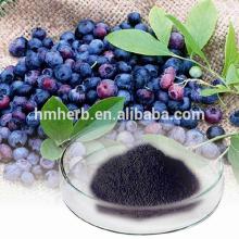 gmp manufacturer supply 100% natural bilberry extract powder anthocyanidin, blueberry powder