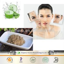 New Product 2015 aloe vera extract for cosmetic