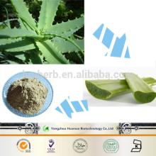 2014 new products on the market aloe vera plants for sale