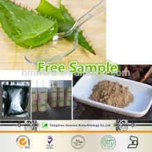 High quality with good price natural Aloe Vera Extract Aloevera 100x Powder