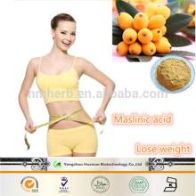 Chinese Manufacture supply free samples of hawthorn/loquat leaf extract Flavones & Maslinic acid