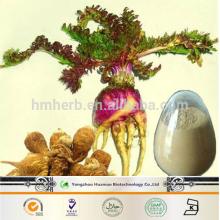 China GMP Factory Supply 100% Natural Sex Pills for Men s Penis Enlarge Maca Extract