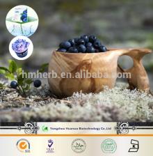 China Factory offer 100% natural antioxidant/ anthocyanidins bilberry,blueberry extract Anthocyandin