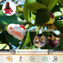 2014 New Anti-Cancer Antiviral Organic Herbal Extract Powder Alpha Mangostin Mangosteen Extract