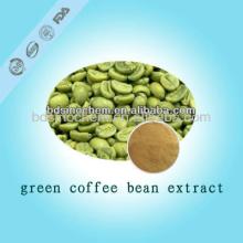 Chlorogenic acid Green coffee bean Extract