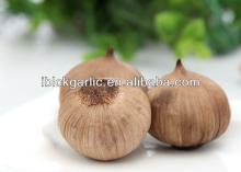 New and Healthy Snack Food Single Clove  Black   Garlic  1 bulb/bag