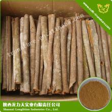 Cinnamon Extract--Anticomplement role