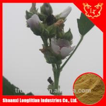 Marshmallow manufacturers--LLT Industries