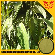  High   Quality   Black   Pepper  Extract  Powd er / piperine 90% ,95%,98%