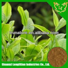 100%high quality natural and nature powdered green tea extract l-theanine/powder green tea easy abso