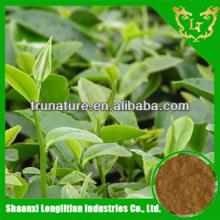 Terrific Quality ! powdered green tea extract supplement/green tea extract powder good service and p