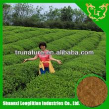 Top Sales ! 100%natural green tea extract/100%natural green tea extract powder high quality from GMP