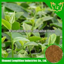 100%Nature powdered green tea extract organic/organic green tea extract powder high quality good pri