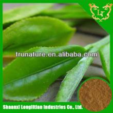 ISO longlitian factory supply terrific quality powder decaffeinated green tea extract/green tea powd