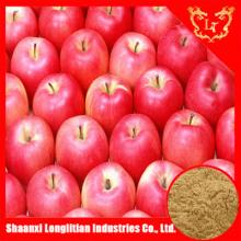wholesale  instant  apple  tea   powd er,apple  extract   powd er with low price